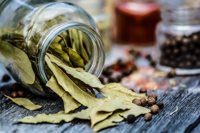 Fungsi Daun Salam Untuk Kesehataan